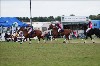 UKPA NC SAT_2893